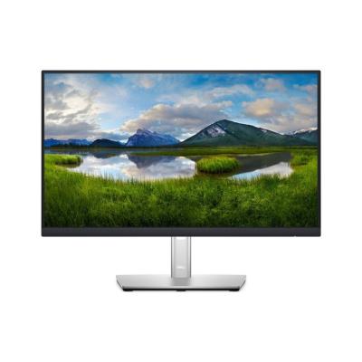 Dell Professional P2225H  22"